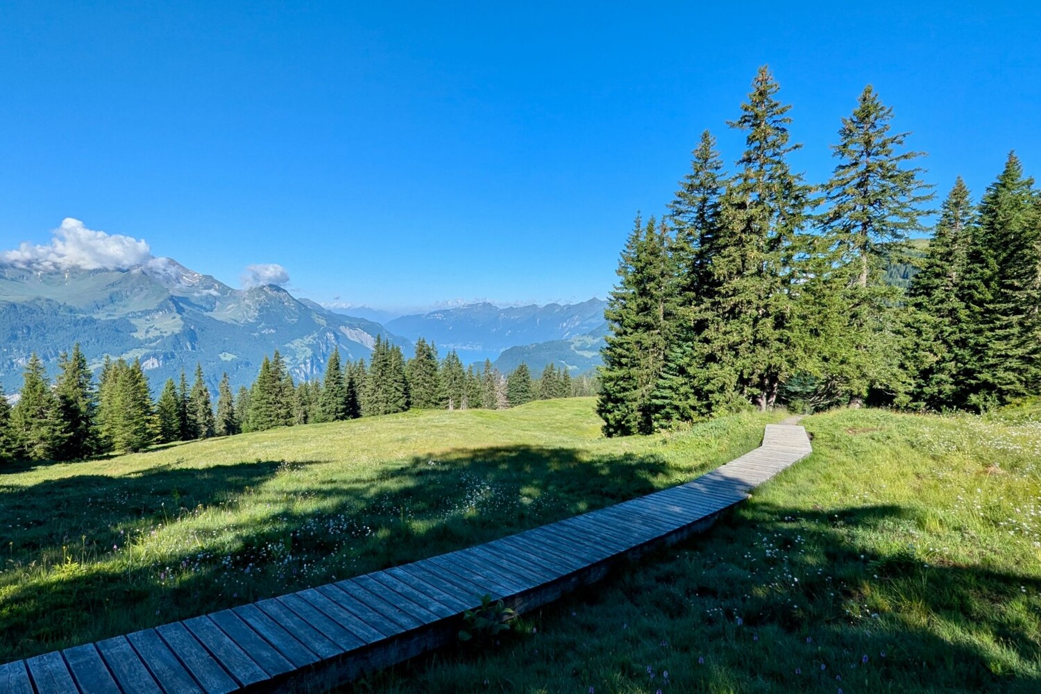 Zwischen Käserstatt und Vordere Staffel ist der Weg durch das Moorgebiet hervorragend ausgebaut.