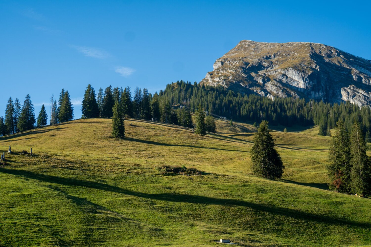 Montée vers l’alpe Tubefärrich, avec le Wiriehore en arrière-plan