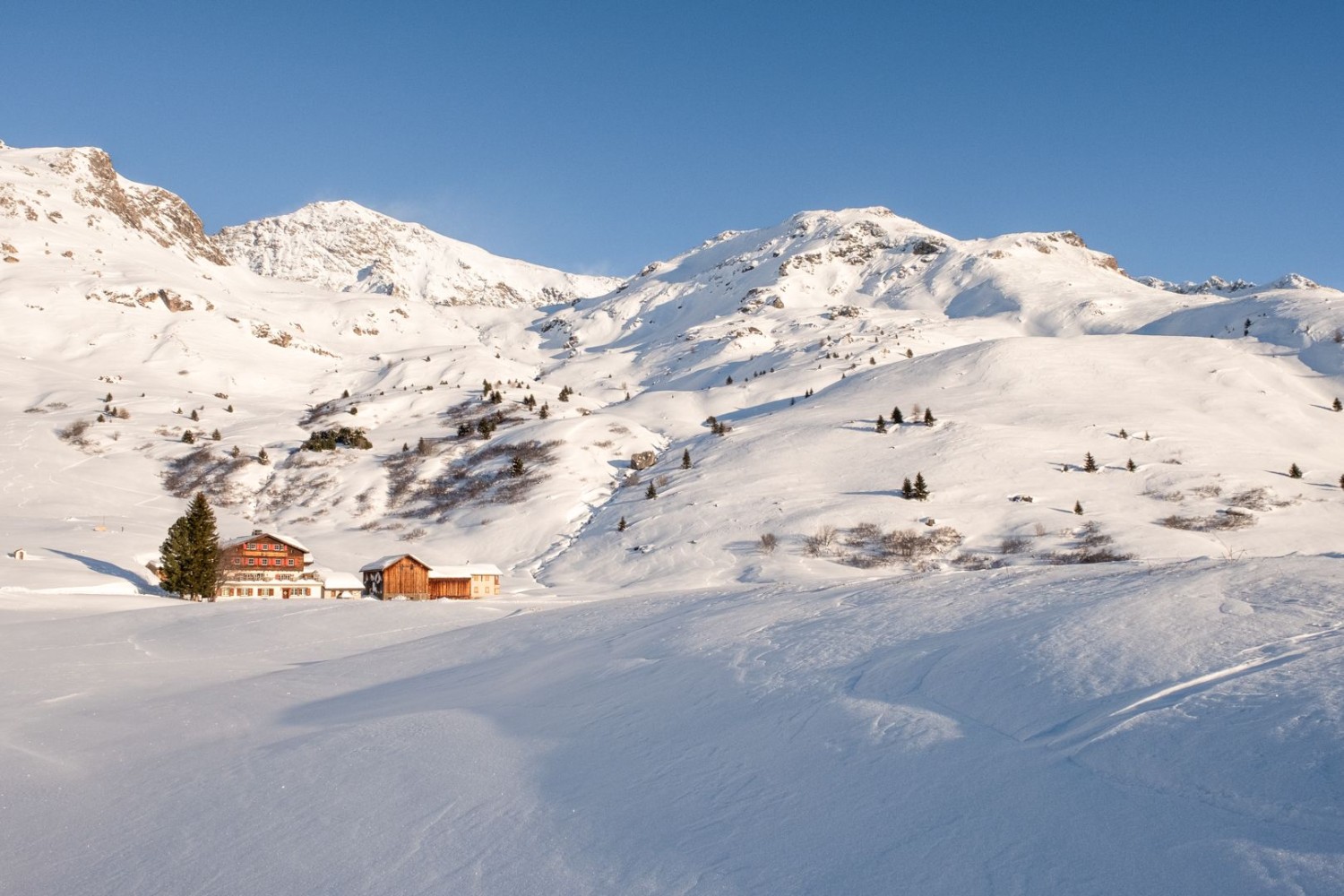 L’auberge de montagne Piz Platta, quant à elle, permet de passer des nuits de rêve et de se régaler comme au paradis.