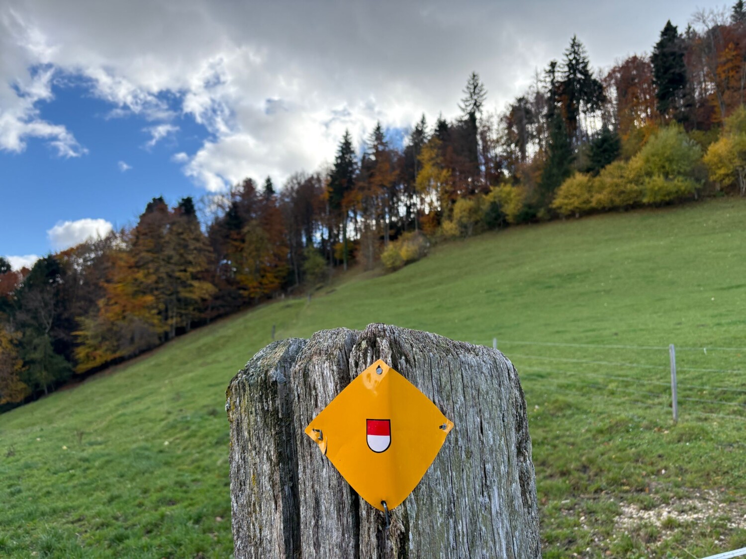Wegmarkierung bei Ober Fringeli.