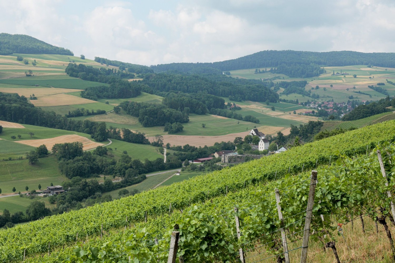 Zwischen Äckern und Rebbergen liegt im Schenkenbergertal das Schloss Kasteln.