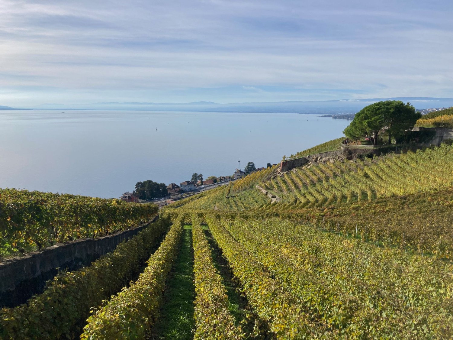 Vue sur le lac Léman, du côté des crêtes du Jura