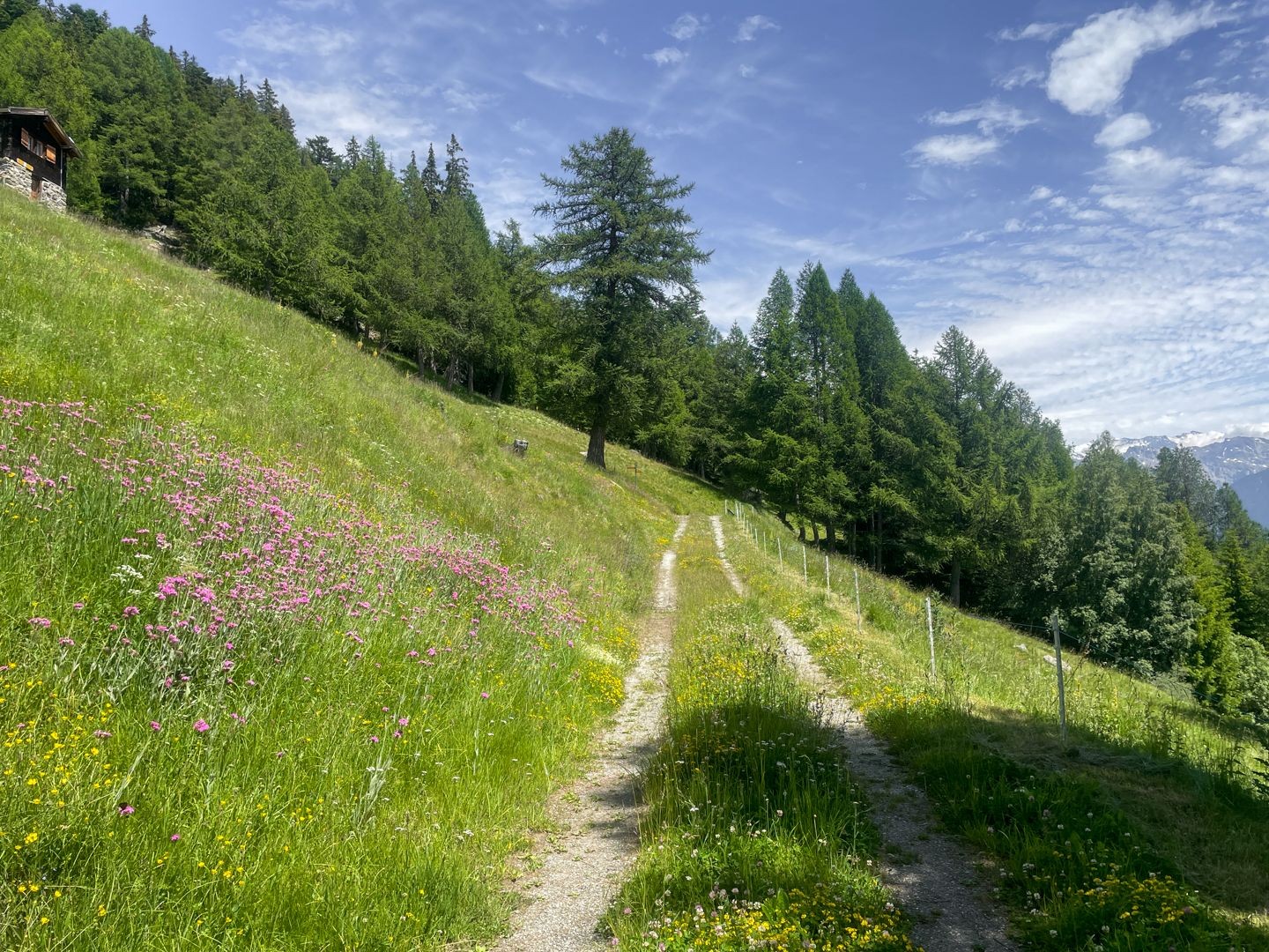 La Spilbielalpji, le point culminant de la randonnée