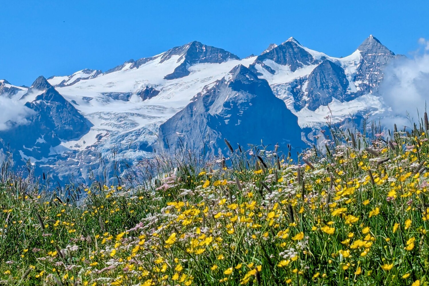 Blick auf den grossen Rosenlauigletscher (links).