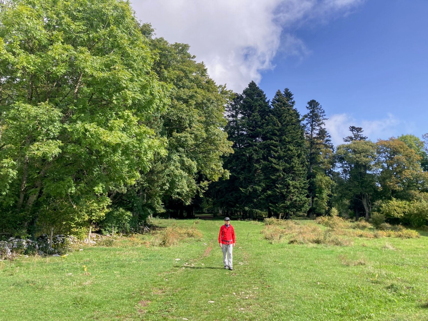 Sur la colline de Chaumont