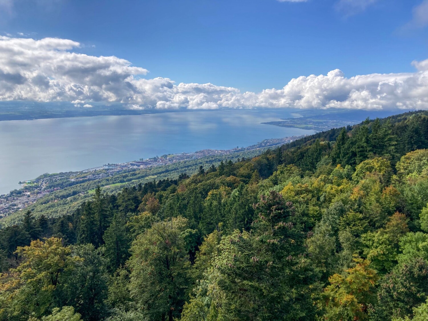 Vue sur le lac de Neuchâtel depuis la tour de Chaumont
