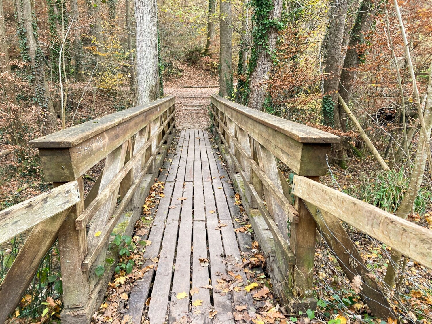 Kurz nach dieser Holzbrücke ist an der Wegböschung Löss zu sehen.