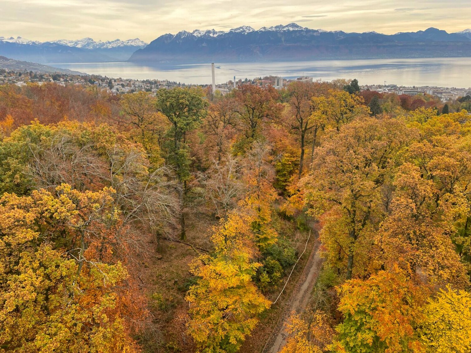 Vom Tour de Sauvabelin sieht man Lausanne, den Genfersee und die Gipfel des Chablais.