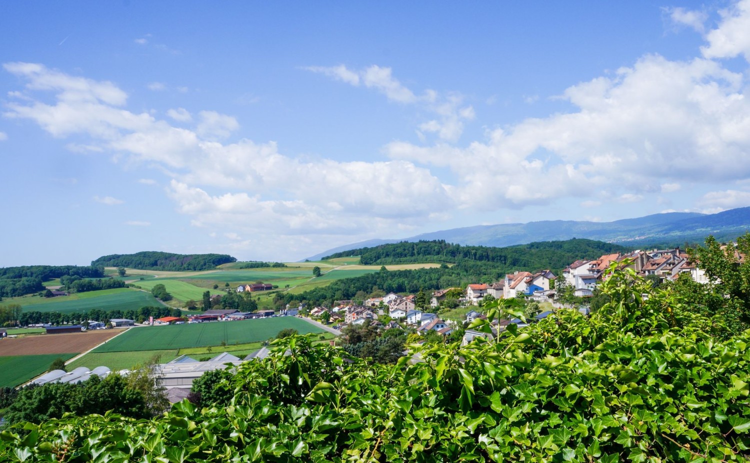 Weiter Ausblick vom Chemin des Vignes aus.