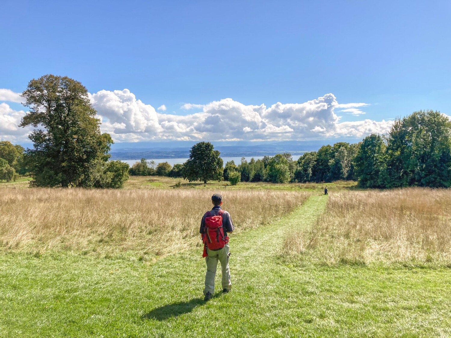 Comme un tableau représentant un paysage