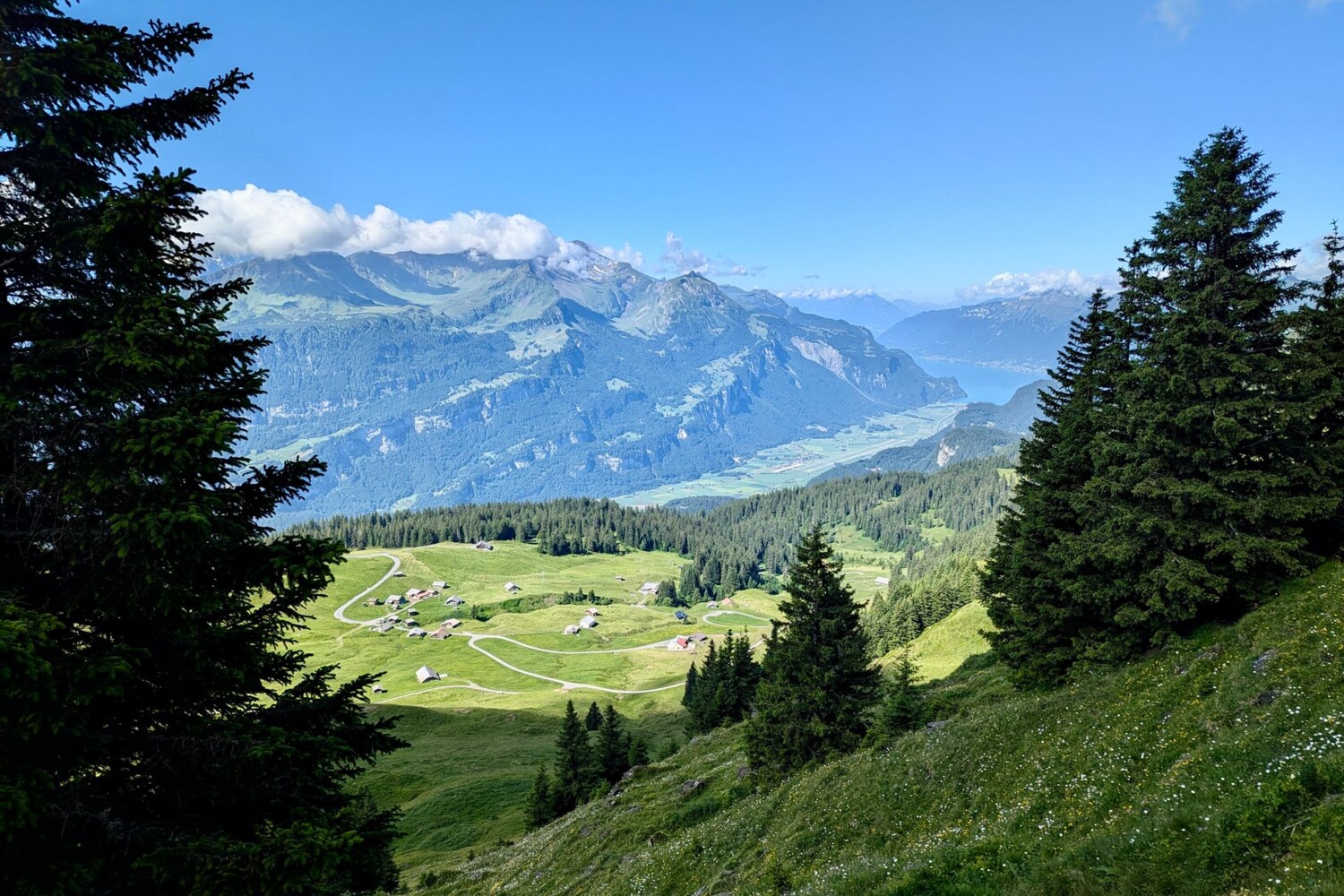 Blick auf Vordere Staffel und ganz hinten auf den Brienzersee.