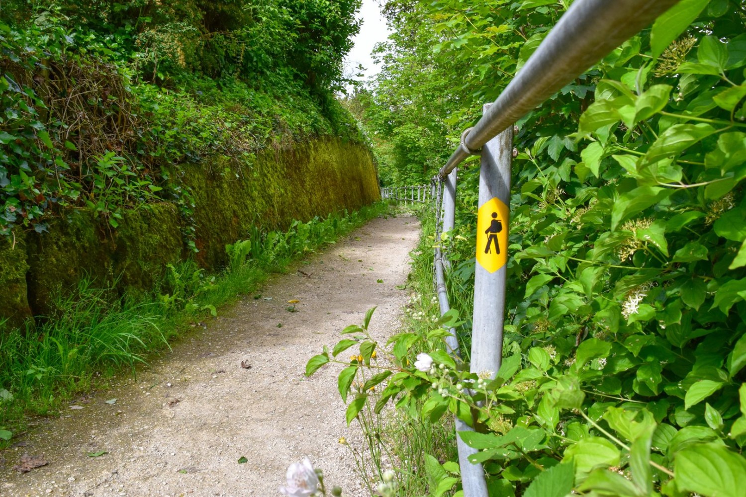Der Uferweg startet bei der Schifflände Kaiseraugst.