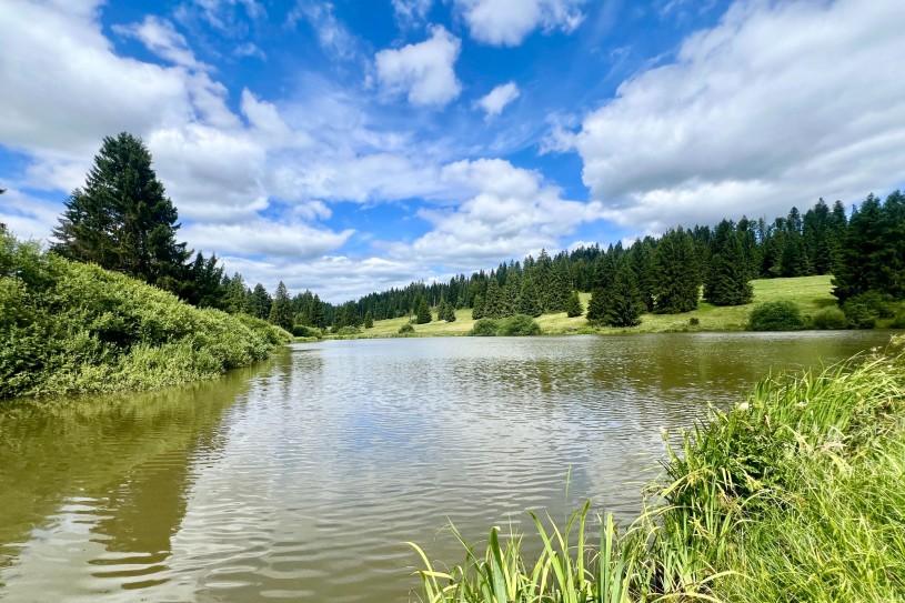 Tabeillon_00019