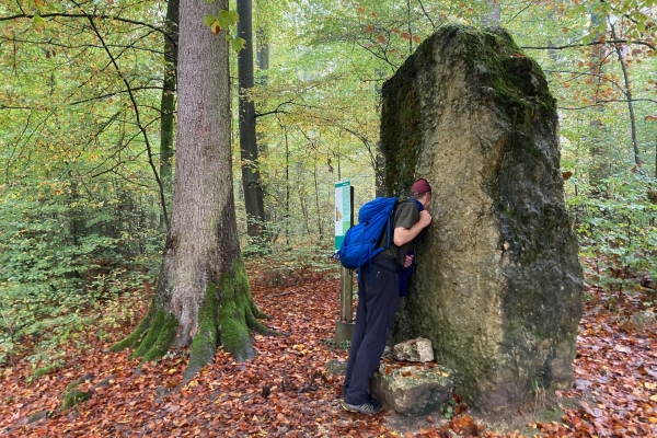 Bei mystischer Stimmung über die Homberglücke