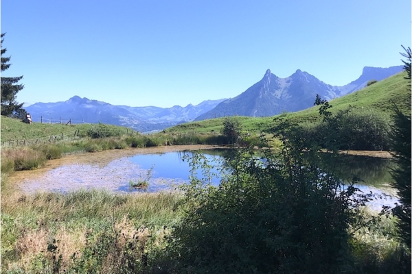 40. Am Lac de Mongeron
