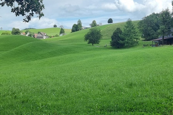 Die unbekannte Sihl, Ungestüm und Innovativ