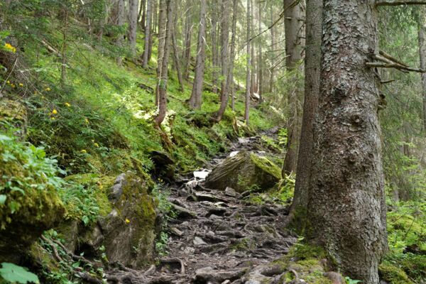 Rundwanderung vom Bergseeli zum Wasserfall