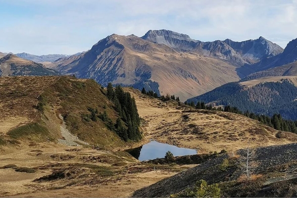 VIP-Angebot für Wanderpassinhaber:innen: Rundum Prätschalp