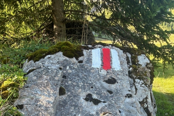 Wilde Landschaften im Gebiet Ritóm/Val Piora