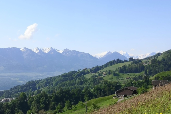 Gärtli-Runde Alpnach