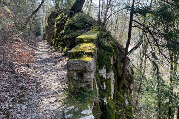Rund um Neuenburg in die Natur eintauchen