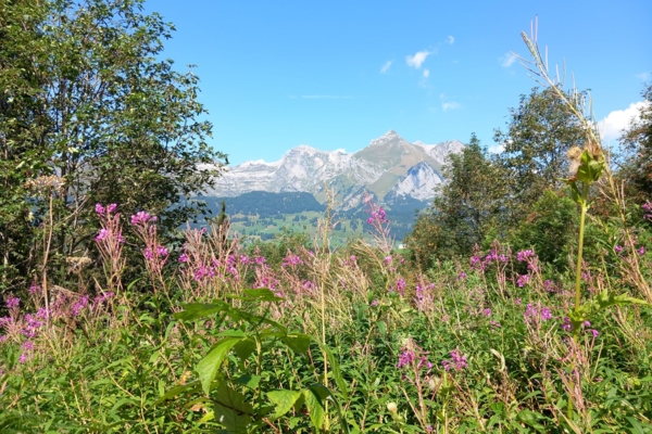 Klangweg Toggenburg - Wanderung für Augen und Ohren