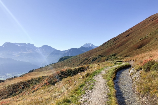 Suone und Panorama am Foggenhorn