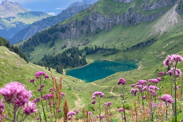 Der Lioson-See