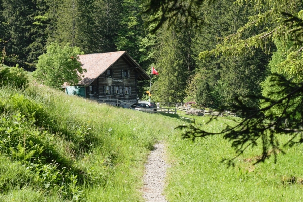 Orchideen auf dem Weg zum Wildspitz