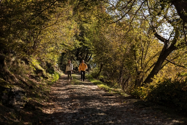 Durch die waldigen Täler des Monte Generoso