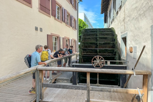 Frühlingspfad am St. Alban-Teich in voller Blüte