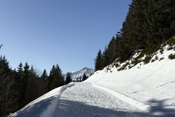 Viel Ruhe und Aussicht im Val d'Illiez