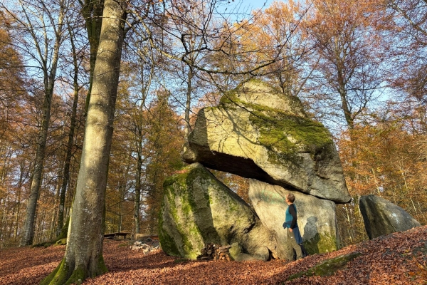 Dans l’Auenschutzpark argovien