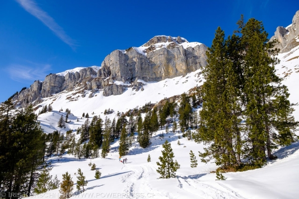 Schneeschuhrunde über die Lombachalp