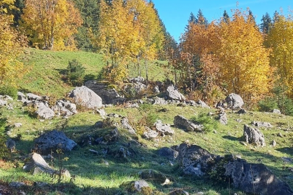 Gratwanderung ins Hoch Ybrig