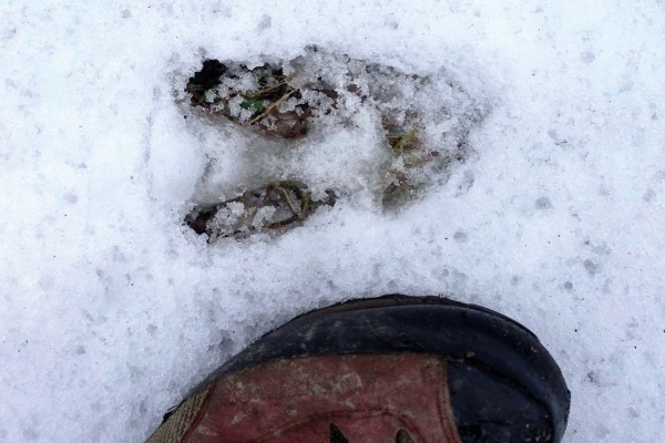 Auf Spurensuche - Highlight Wanderung