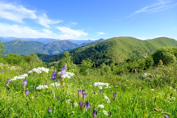 Kastanienselven und ein Grat im Malcantone