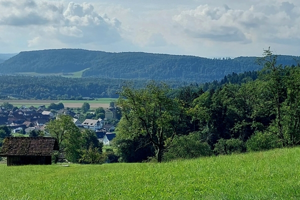 Von Hüntwangen über Wasterkingen zurück nach Hüntwangen