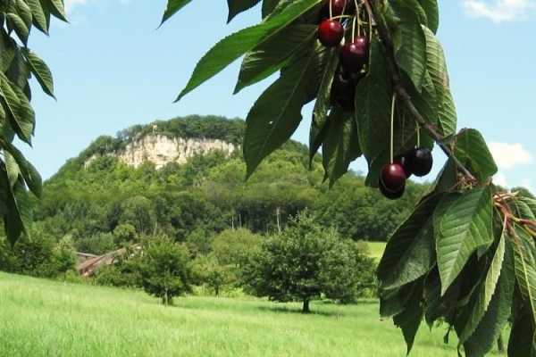 Wandertreffen der Kantone (AG, BS, BL, SO)  - Route 3