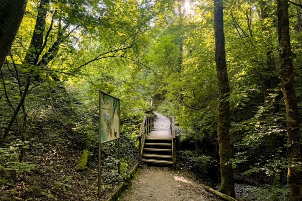 Una tranquilla passeggiata tra natura e città