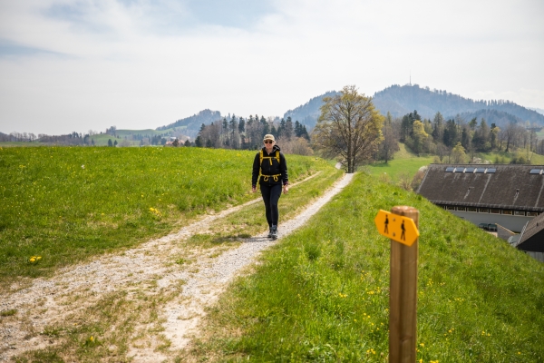 Surplomber la vallée de la Töss au Hörnli
