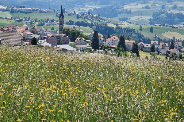 Erlebnisse und Erfahrungen eines Appenzeller Webers