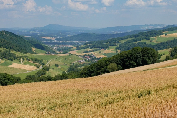 Auf Reptilien-Tour im Schenkenbergertal