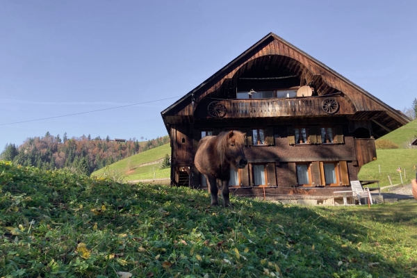 Aussichtsreich vom Napfgebiet ins Entlebuch