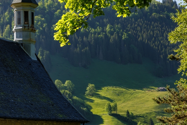 Un paysage typiquement gruérien 