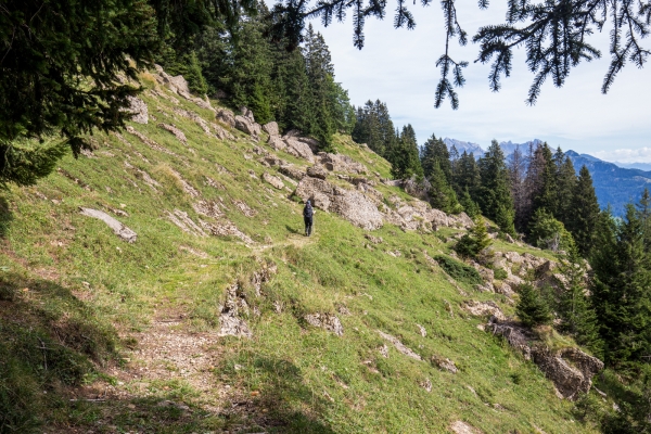 Auf den höchsten Nagelfluhberg Europas