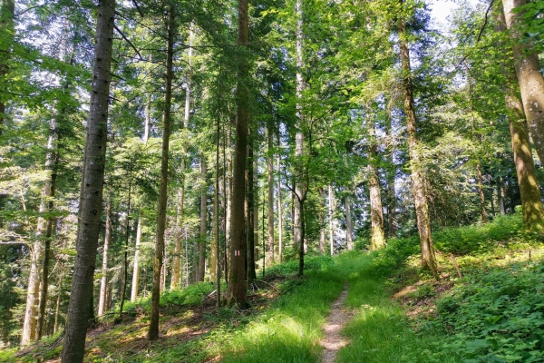 Picco d’entusiasmo nell’Entlebuch