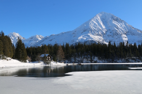 Schneeschuhwanderung am Dreikönigstag auf dem Arnisee Trail