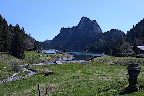 03. Mondschein am Taneysee (VS)