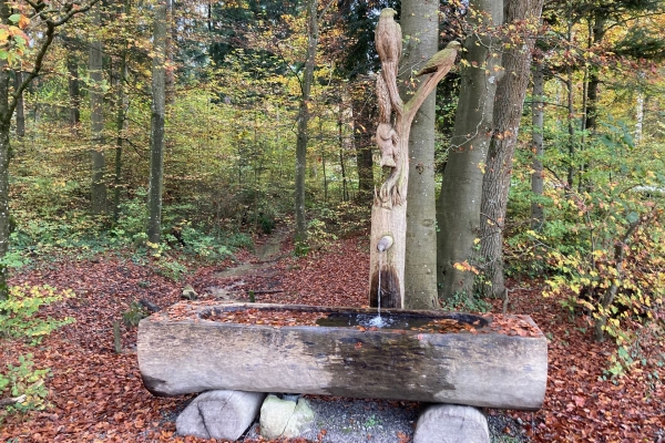 Durchs Naherholungsgebiet bei Zürich